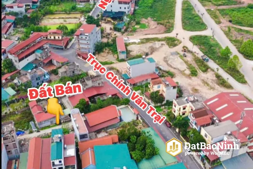 Ảnh nhỏ 2