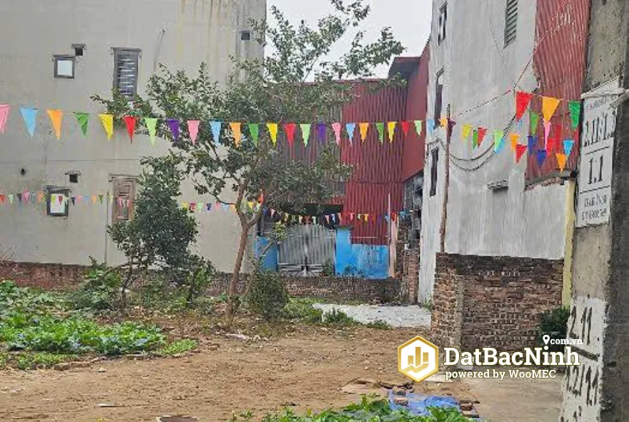Ảnh nhỏ 3