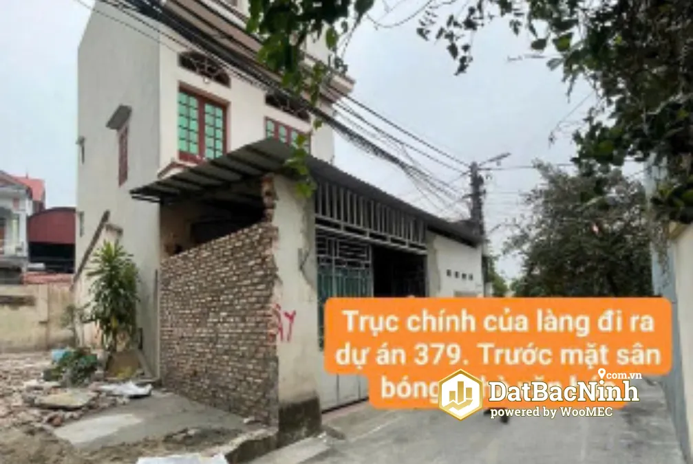 Ảnh nhỏ 1