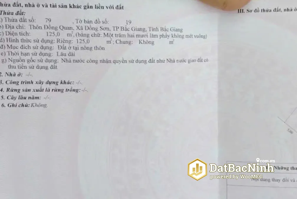 Ảnh nhỏ 1