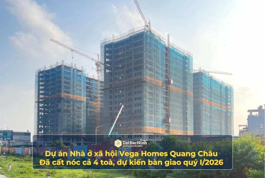 Ảnh nhỏ 1
