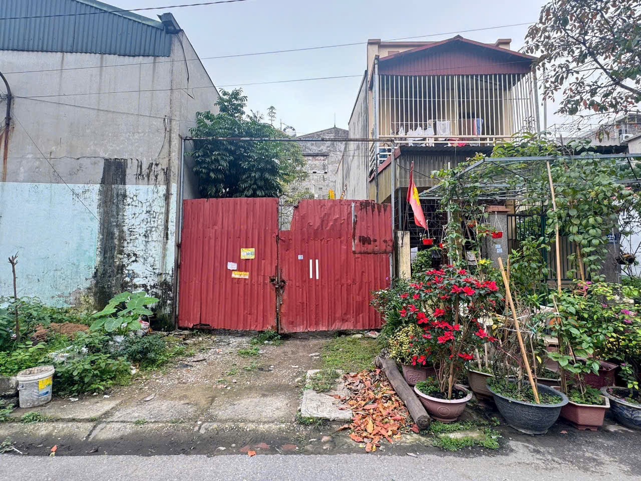 Bán lô giãn dân Đồng Quán, Bình Than