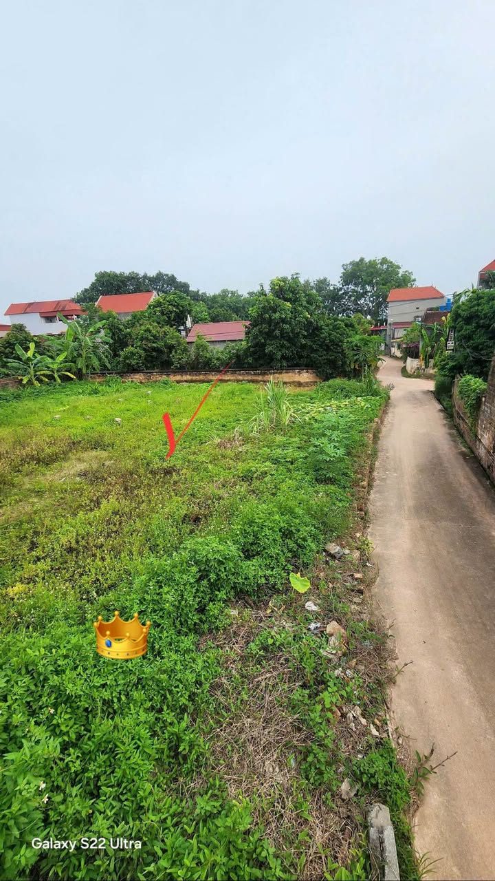 Bán đất chàng – Bảo Đài Lục Nam