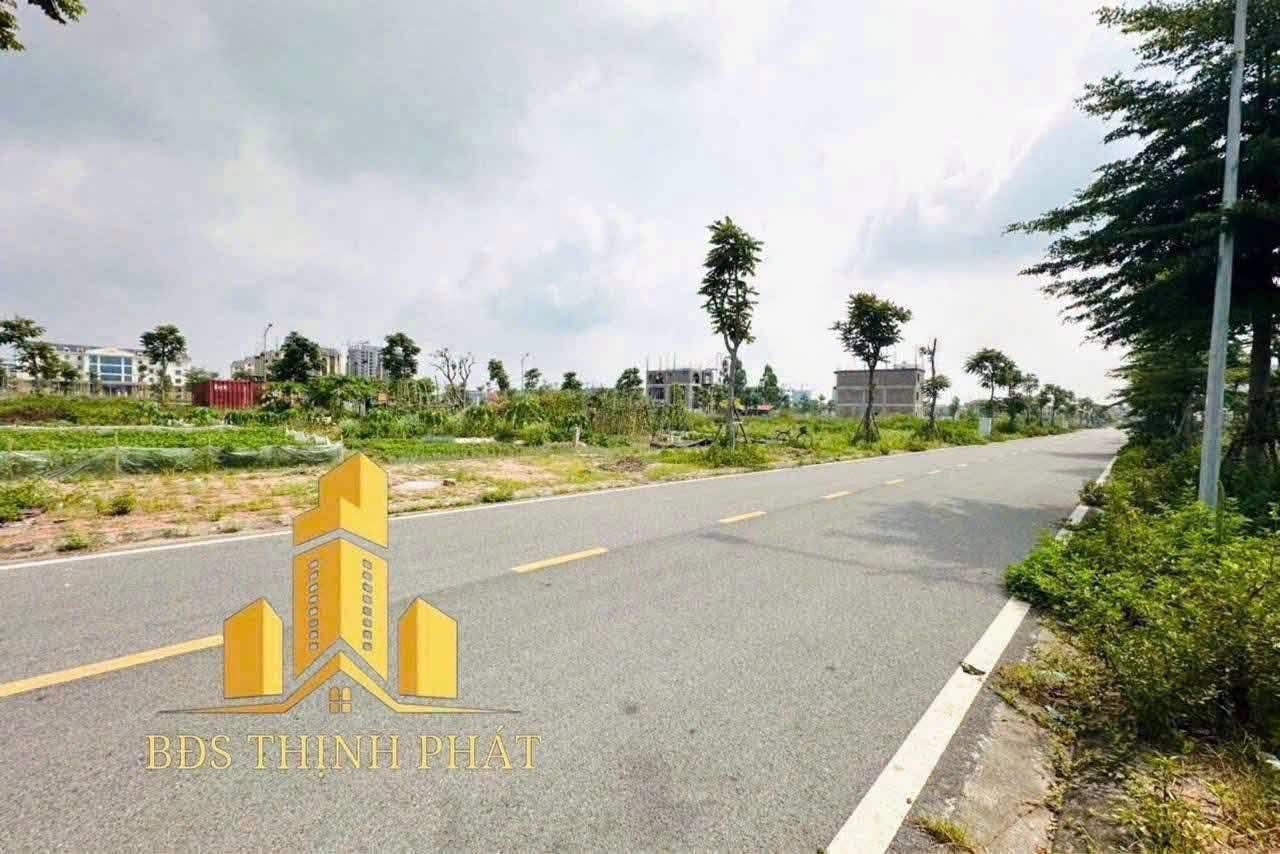Dãy LK8 bán đất 93m2 MT5,5m