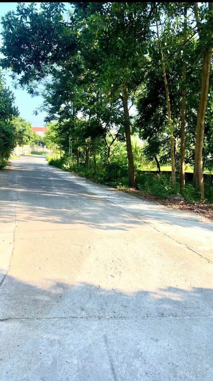 Lô đất 115m gần KCN Danh Thắng