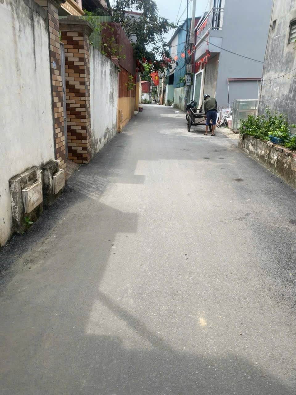Bán đất 49,8m² mặt trục Xuân Ổ B, Võ Cường