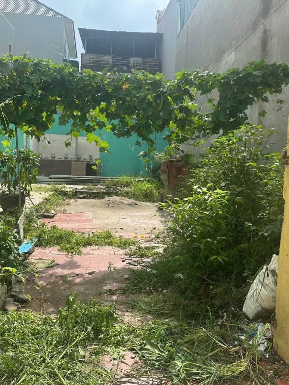 Bán đất gần 80m² khu phố Tiêu Thượng, Từ Sơn